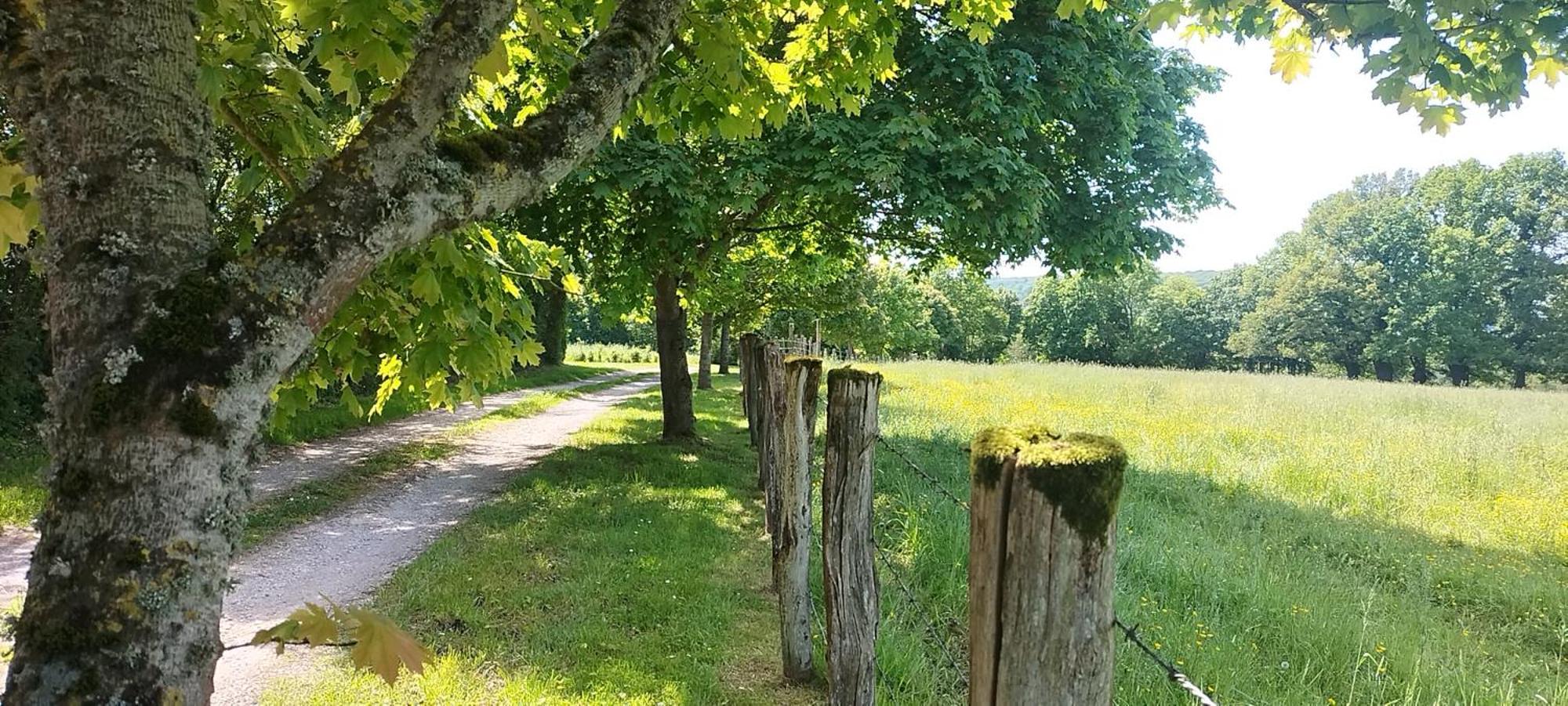 Pensjonat La Roulotte De Jane Margon  Zewnętrze zdjęcie